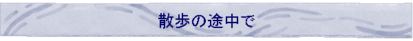 �U���̓r����