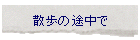 �U���̓r����