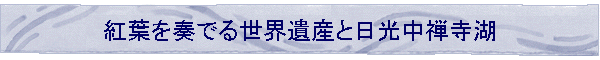 �g�t��t�ł鐢�E��Y�Ɠ������T����