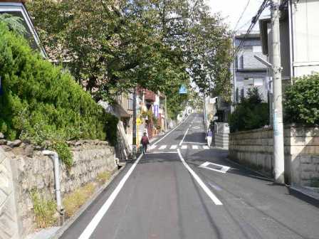 �痢�R�͍⓹�������ł�