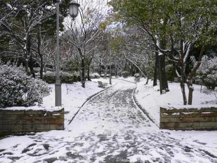 ��i�F�̕����Βn�ւ̎U����