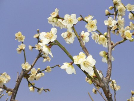 �����Βn�����̔~�B��N�R���B�e�B