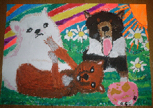 柴犬 ブリーダー 柴犬 子犬 絵