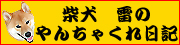 �Č��@�u���[�_�[�@�����N�W6