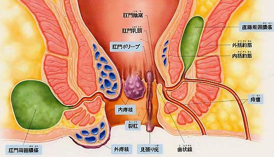 anal figure