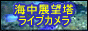 �C���W�]��