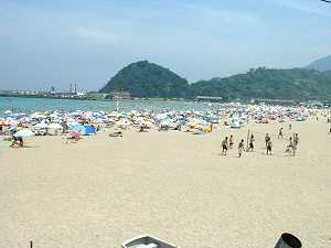 和田浜 和田浜