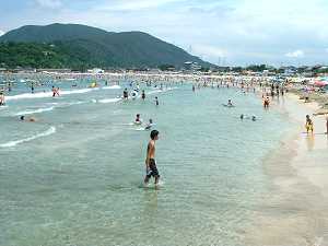 和田浜 和田浜