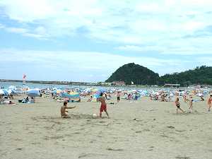 和田浜 和田浜