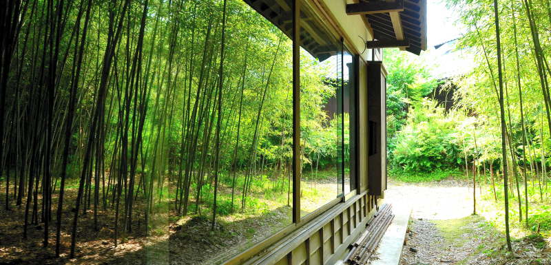 一滴文庫の竹林 一滴文庫の竹林