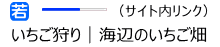 海辺のいちご畑