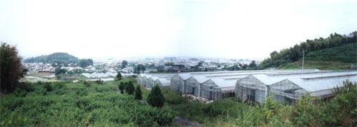 桧原台地と箸墓