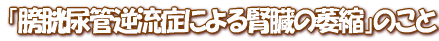�u�N���A�ǋt���ǂɂ��t���̈ޏk�v�̂���