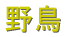 �쒹
