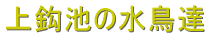 ��b�r�̐����B