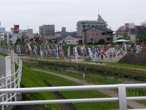 �吳��P