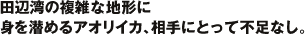 �c�Әp�̕��G�Ȓn�`�ɐg����߂�A�I���C�J�A����ɂƂ��ĕs���Ȃ��B