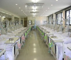 ���͎��ʐ^