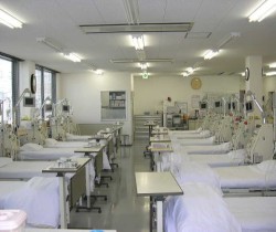 ���͎��ʐ^