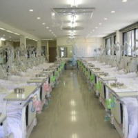 ���͎��ʐ^