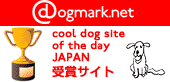 �N�[���E�h�b�O�E�T�C�g�E�I�u�E�U�E�f�C�E�W���p��