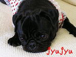 PUGBOX