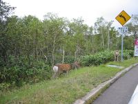 �m�����f���H�Łu�������v�����I