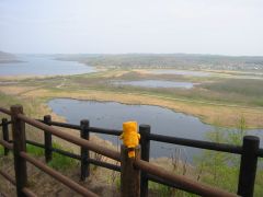 �T�������W�]��ł��B