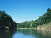 ����Ă�ƁA�Ȃ񂾂����ꂵ���B