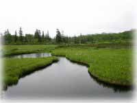 ���̏����X�e�L�ł����A�_����͂���ɉ��ɐi�݂܂��B