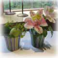 �K���X�̊킪�ƂĂ��X�e�L�ł����B