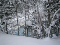 ���F�̐�ʁB���l�삪�����܂����B