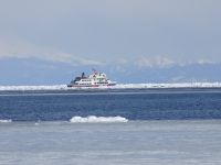 �q�s���̗��X�ό��ӕX�D���[��獆���E�E�E�B