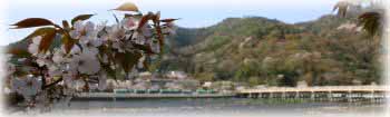 �ʐ^�I�ɂ͗��R�����̘I�V������ܥ��