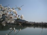 ���C�ɓ���̃V���b�g�ł��B