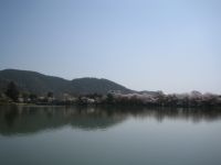 �Ȃ񂾂��Â��Ȃ��Ă��܂����ʐ^�B�ʐ^�͓���`�B