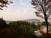 �W�]������̌i�F�͑f���炵���ł��B