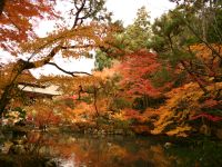 ���鉿�l�L��̒뉀�ł��B���Ё�