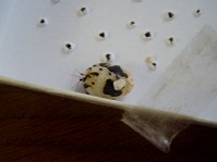 �V�������