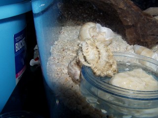 �C����