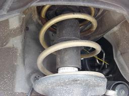 TEIN HIGH.TECH �t�����g �X�v�����O