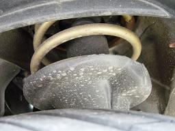 TEIN HIGH.TECH �t�����g �X�v�����O