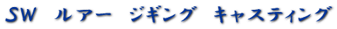 �r�v�@���A�[�@�W�M���O�@�L���X�e�B���O