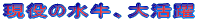 ̐A劈