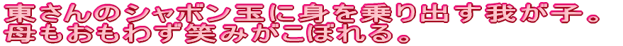 ̃V{ʂɐgo䂪qB 킸΂݂ڂB