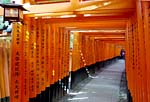 千本鳥居(下り方向)