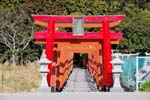 鳴ケ岡稲荷大明神の鳥居