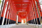 高繁大明神・社側から