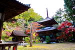 多宝塔