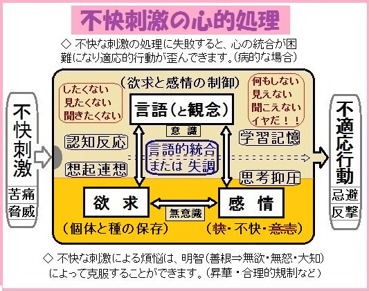 不快刺激の心的処理